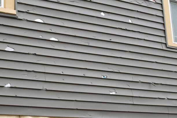 Affordable Siding Repair and Maintenance Services in Lynchburg, VA