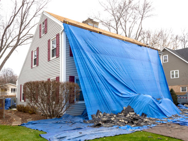 Best Stone Veneer Siding  in Lynchburg, VA